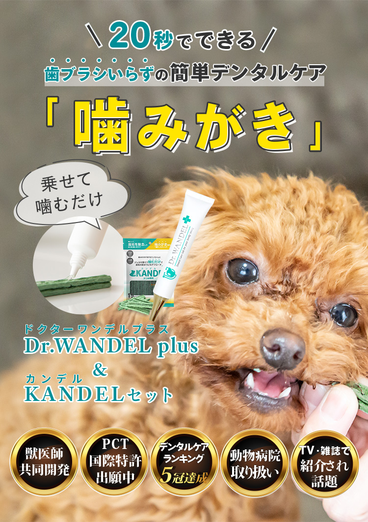 Dr.WANDEL<br>+KANDELセット