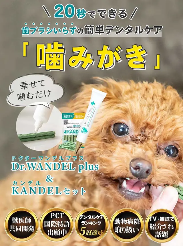 Dr.WANDEL<br>+KANDELセット